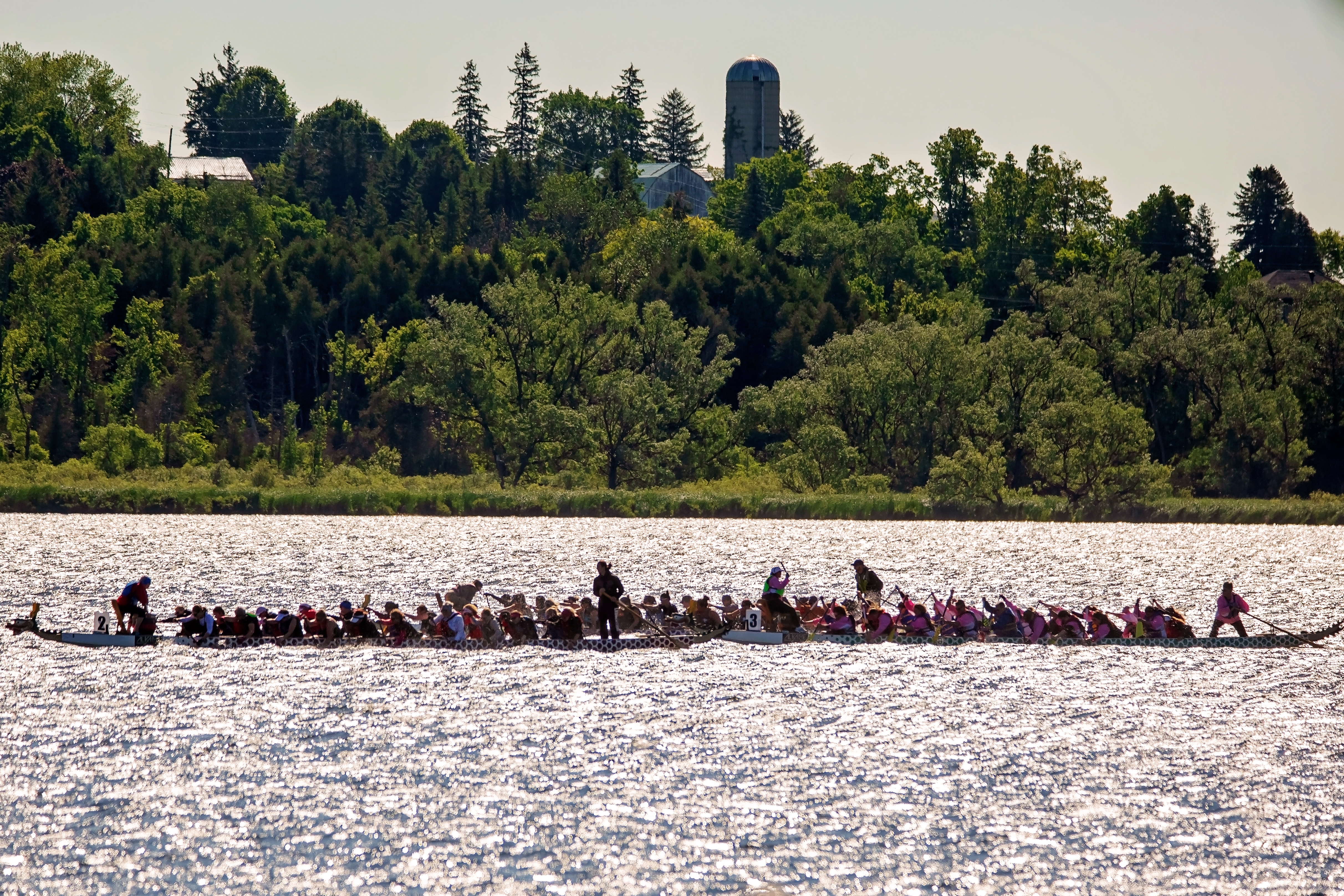 Dragon Boat on the lake