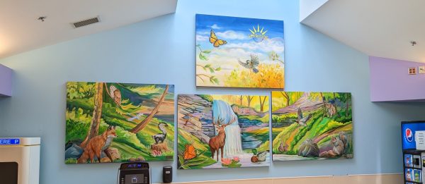 Woodland Murals in Emergency Dept. waiting room